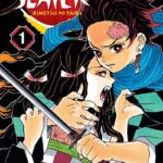 Demon Slayer: Kimetsu no Yaiba Manga Volume 1