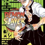 Demon Slayer: Kimetsu no Yaiba Manga Volume 17